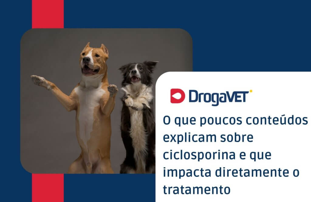 O que poucos conteúdos explicam sobre ciclosporina e que impacta diretamente o tratamento