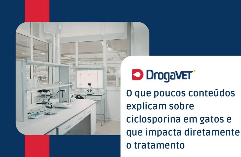 Ciclosporina para gatos: para que serve, como usar e quando é indicada O que poucos conteúdos explicam sobre ciclosporina em gatos e que impacta diretamente o tratamento