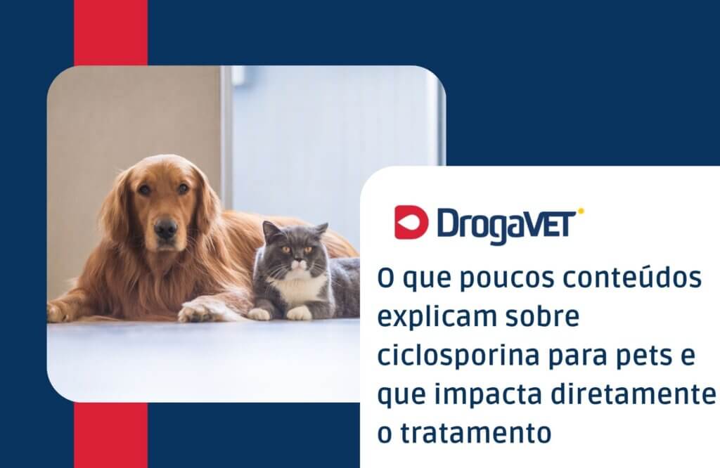 O que poucos conteúdos explicam sobre ciclosporina para pets e que impacta diretamente o tratamento