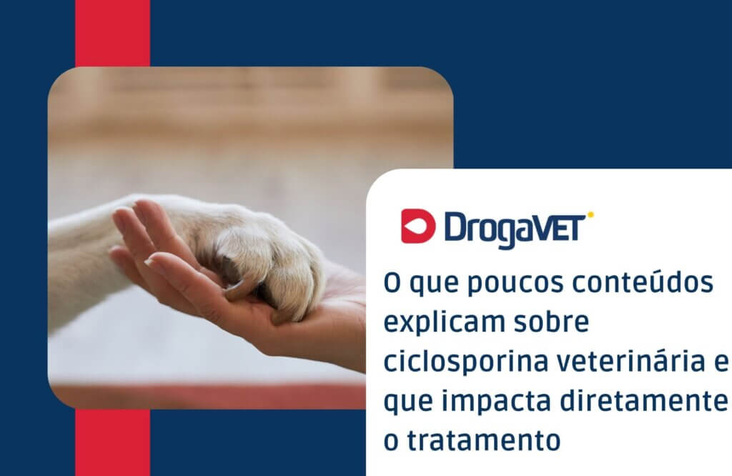 O que poucos conteúdos explicam sobre ciclosporina veterinária e que impacta diretamente o tratamento