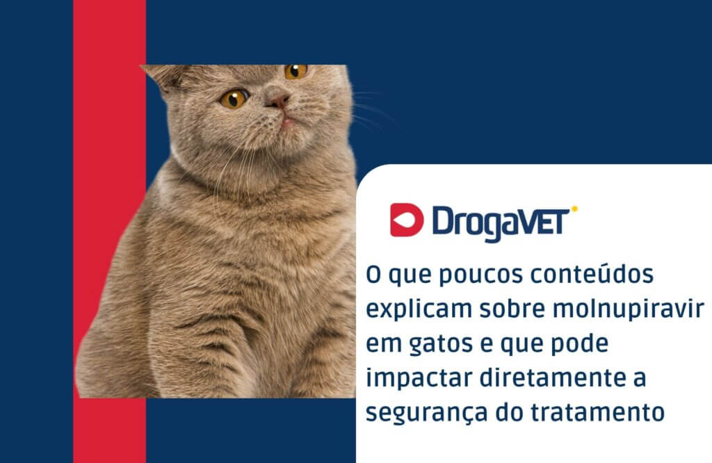 O que poucos conteúdos explicam sobre molnupiravir em gatos e que pode impactar diretamente a segurança do tratamento