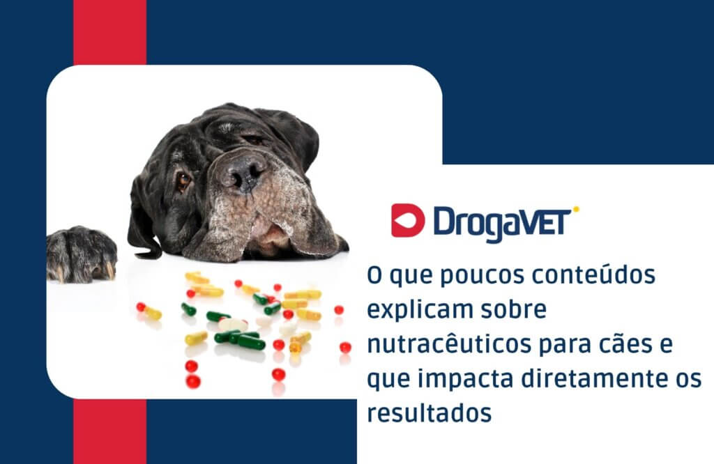 O que poucos conteúdos explicam sobre nutracêuticos para cães e que impacta diretamente os resultados
