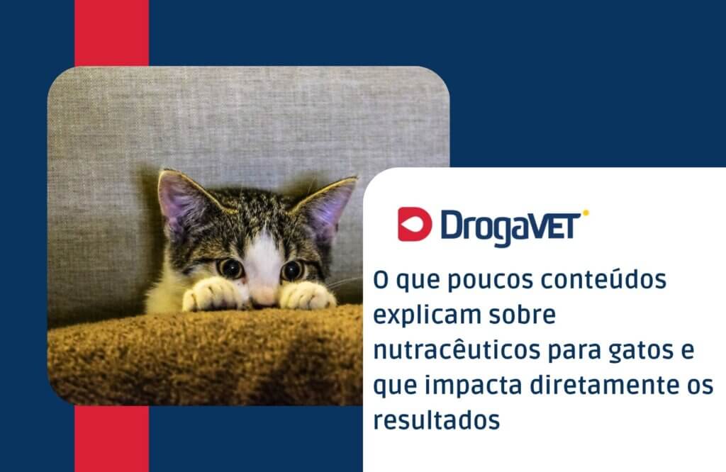 O que poucos conteúdos explicam sobre nutracêuticos para gatos e que impacta diretamente os resultados