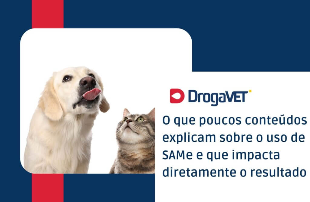 O que poucos conteúdos explicam sobre o uso de SAMe e que impacta diretamente o resultado