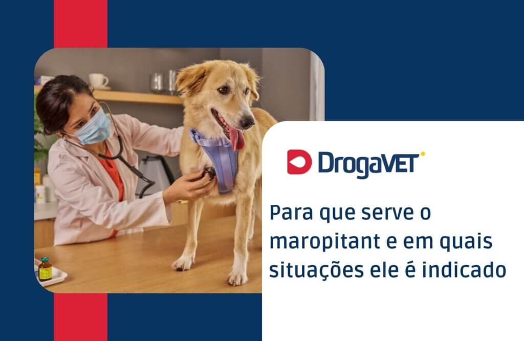 Para que serve o maropitant e em quais situações ele é indicado