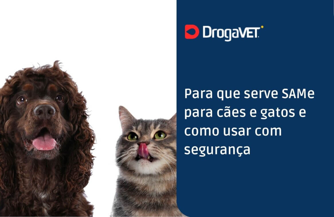 Para que serve SAMe para cães e gatos e como usar com segurança