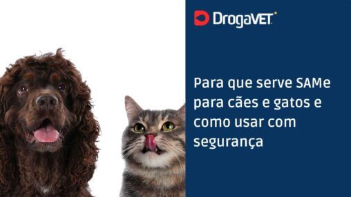 Para que serve SAMe para cães e gatos e como usar com segurança