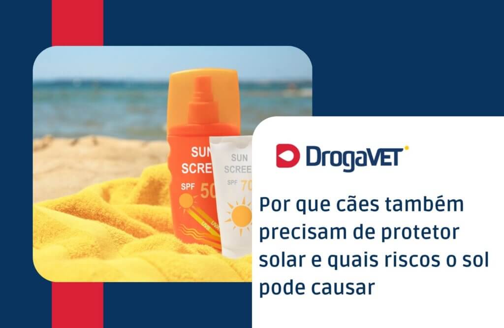 Por que cães também precisam de protetor solar e quais riscos o sol pode causar