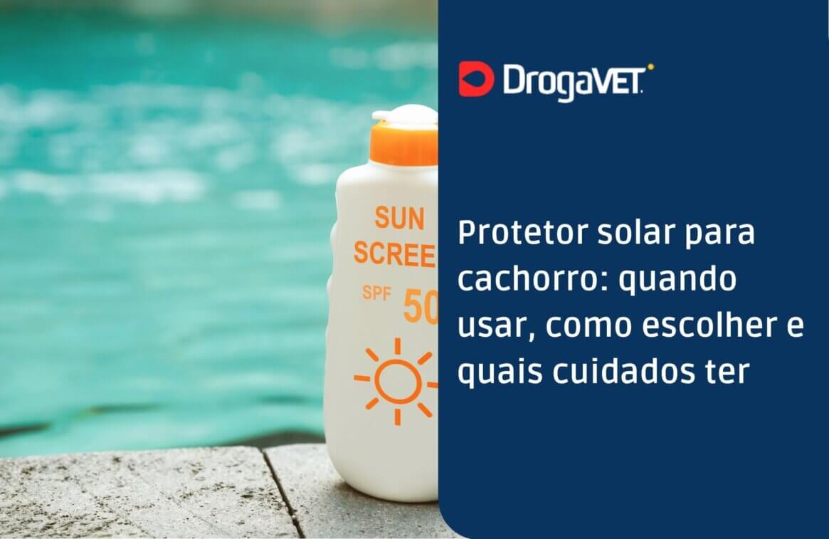 Protetor solar para cachorro quando usar, como escolher e quais cuidados ter