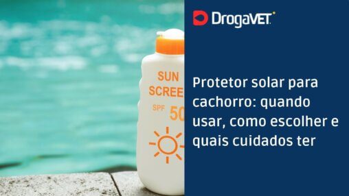 Protetor solar para cachorro quando usar, como escolher e quais cuidados ter