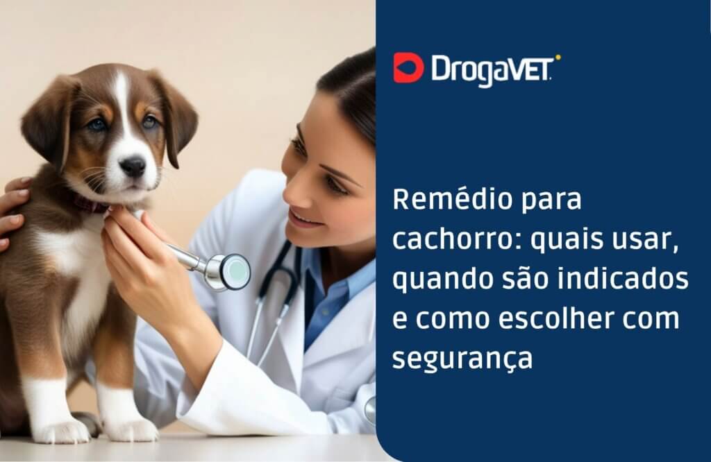 Remédio para cachorro quais usar, quando são indicados e como escolher com segurança