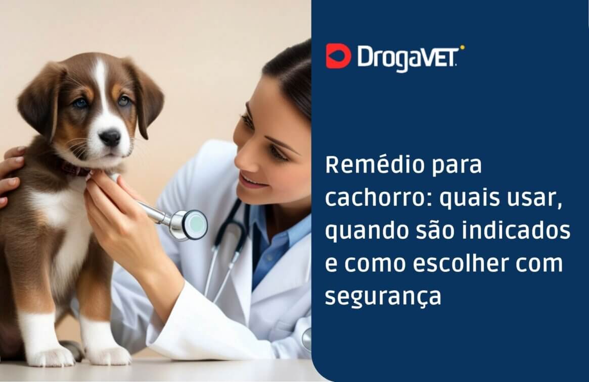 Remédio para cachorro quais usar, quando são indicados e como escolher com segurança