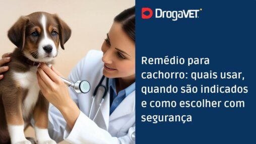 Remédio para cachorro quais usar, quando são indicados e como escolher com segurança