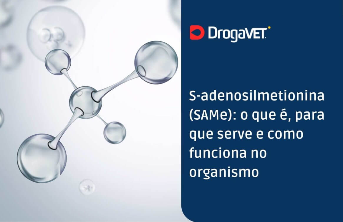 S-adenosilmetionina (SAMe) o que é, para que serve e como funciona no organismo