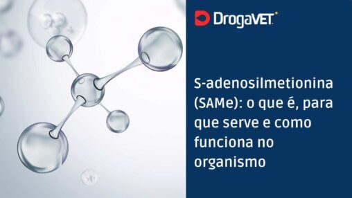 S-adenosilmetionina (SAMe) o que é, para que serve e como funciona no organismo