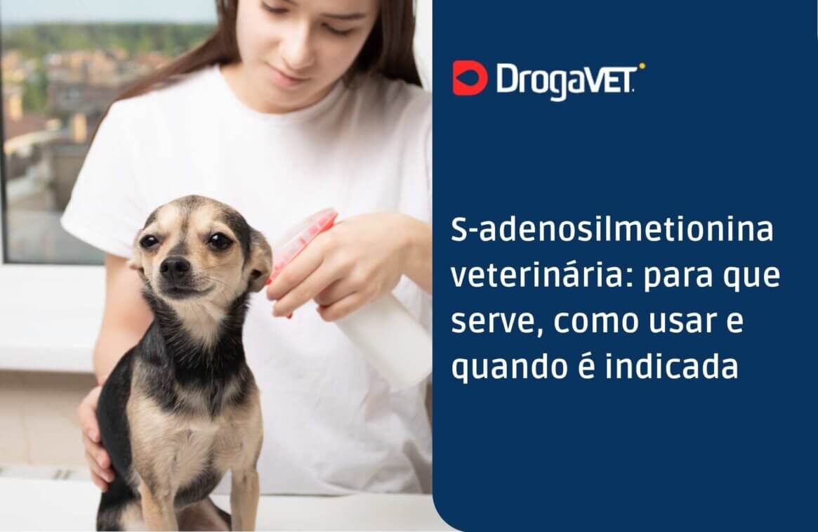 S-adenosilmetionina veterinária para que serve, como usar e quando é indicada