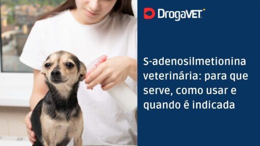 S-adenosilmetionina veterinária para que serve, como usar e quando é indicada