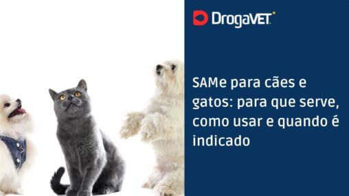 SAMe para cães e gatos para que serve, como usar e quando é indicado