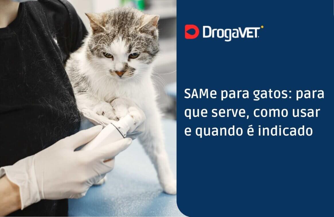 SAMe para gatos para que serve, como usar e quando é indicado