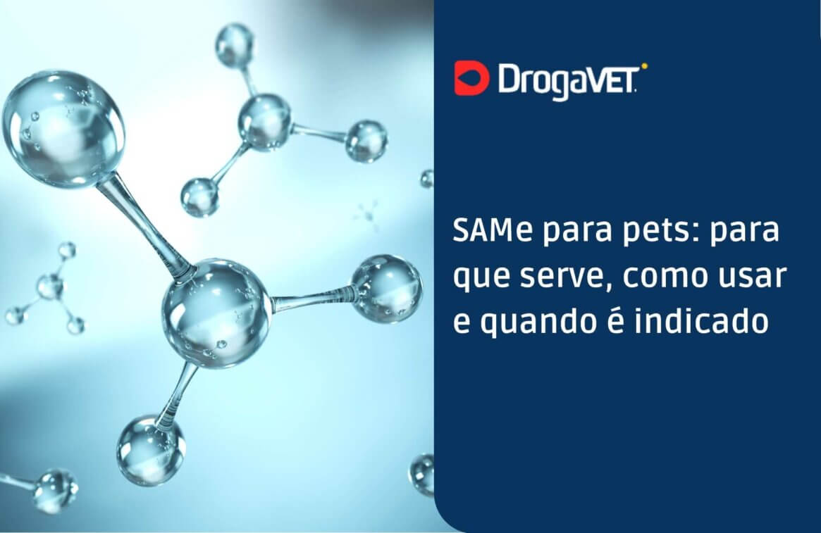 SAMe para pets para que serve, como usar e quando é indicado