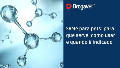 SAMe para pets para que serve, como usar e quando é indicado