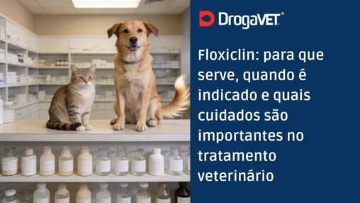 Floxiclin para que serve, quando é indicado e quais cuidados são importantes no tratamento veterinário