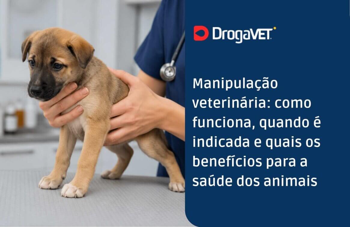Manipulação veterinária como funciona, quando é indicada e quais os benefícios para a saúde dos animais
