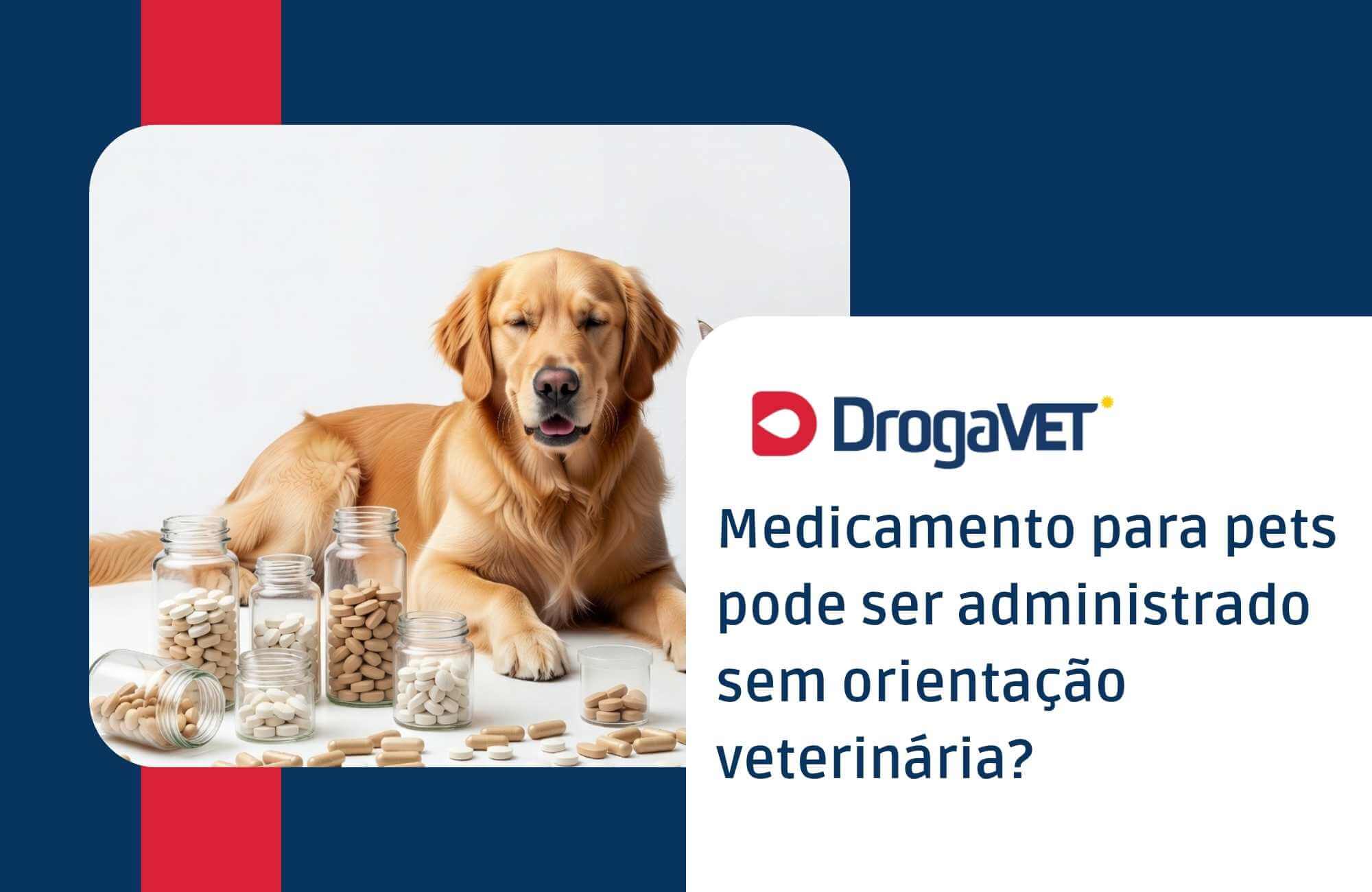 Medicamento para pets pode ser administrado sem orientação veterinária Medicamento para pets pode ser administrado sem orientação veterinária