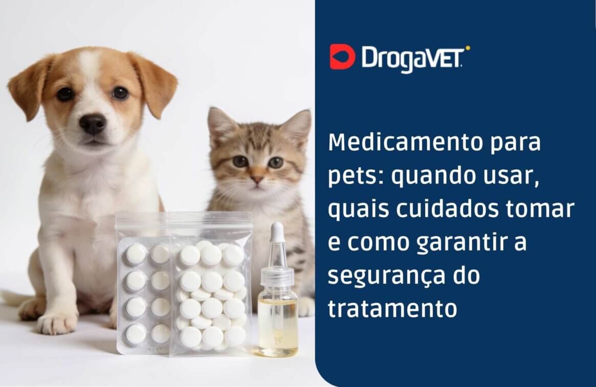 Medicamento para pets quando usar, quais cuidados tomar e como garantir a segurança do tratamento