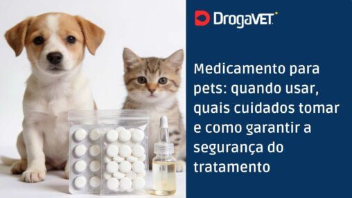 Medicamento para pets quando usar, quais cuidados tomar e como garantir a segurança do tratamento