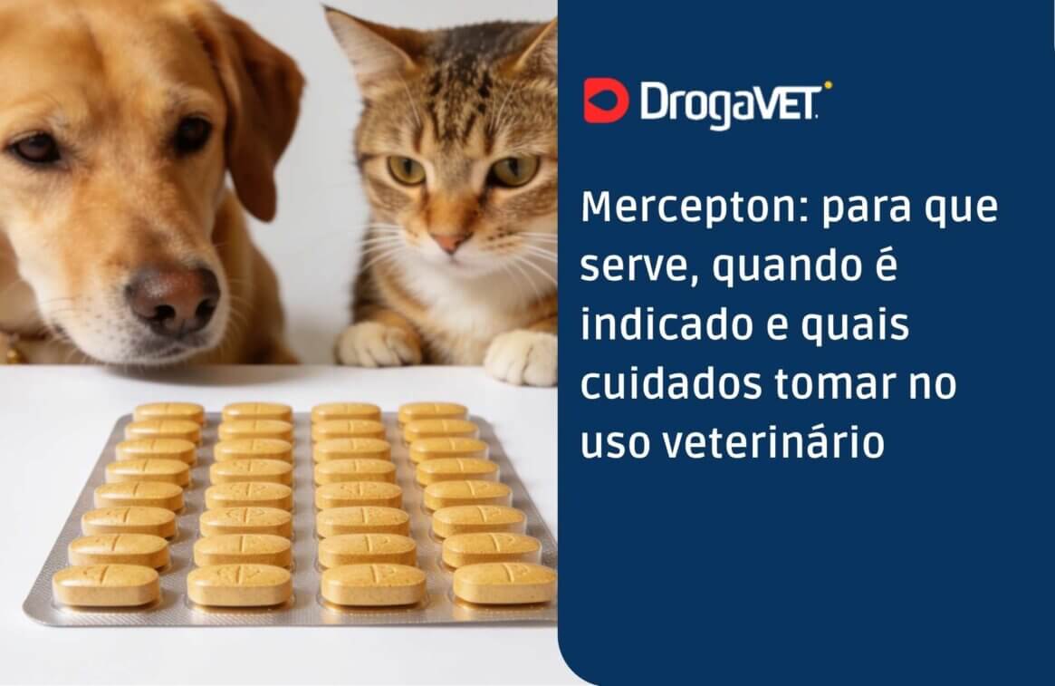 Mercepton para que serve, quando é indicado e quais cuidados tomar no uso veterinário