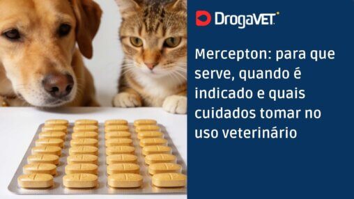 Mercepton para que serve, quando é indicado e quais cuidados tomar no uso veterinário