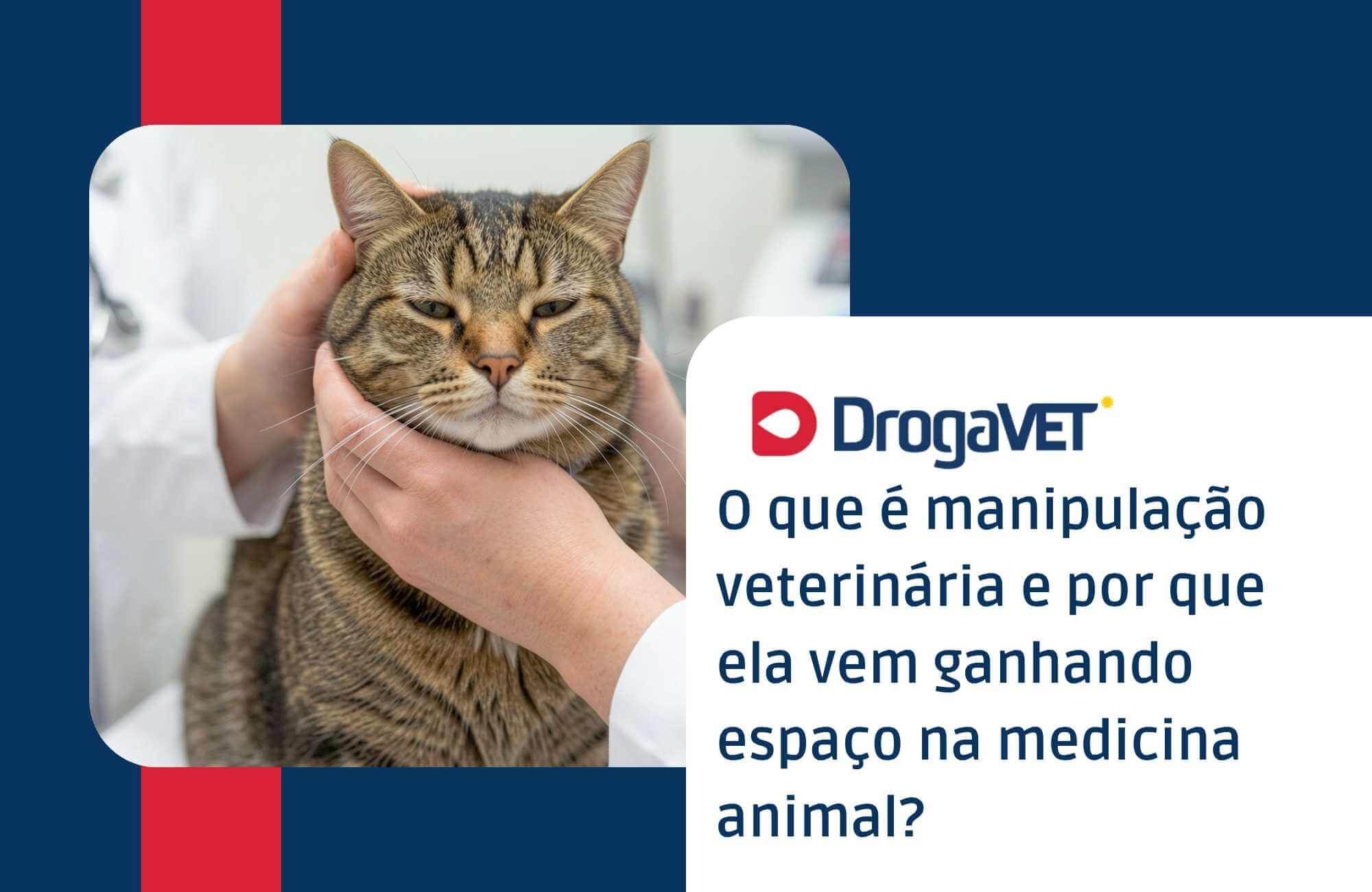 O que é manipulação veterinária e por que ela vem ganhando espaço na medicina animal O que é manipulação veterinária e por que ela vem ganhando espaço na medicina animal