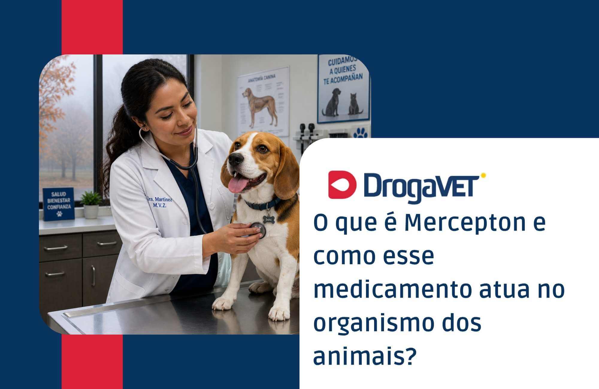 O que é Mercepton e como esse medicamento atua no organismo dos animais? O que é Mercepton e como esse medicamento atua no organismo dos animais