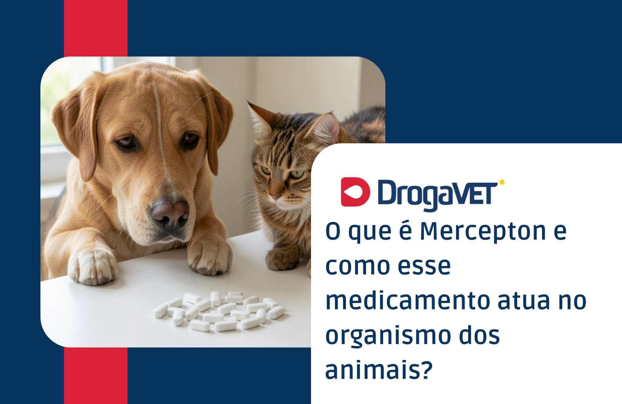 O que é uma farmácia pet e quais produtos podem ser encontrados nesse tipo de estabelecimento O que é uma farmácia pet e quais produtos podem ser encontrados nesse tipo de estabelecimento
