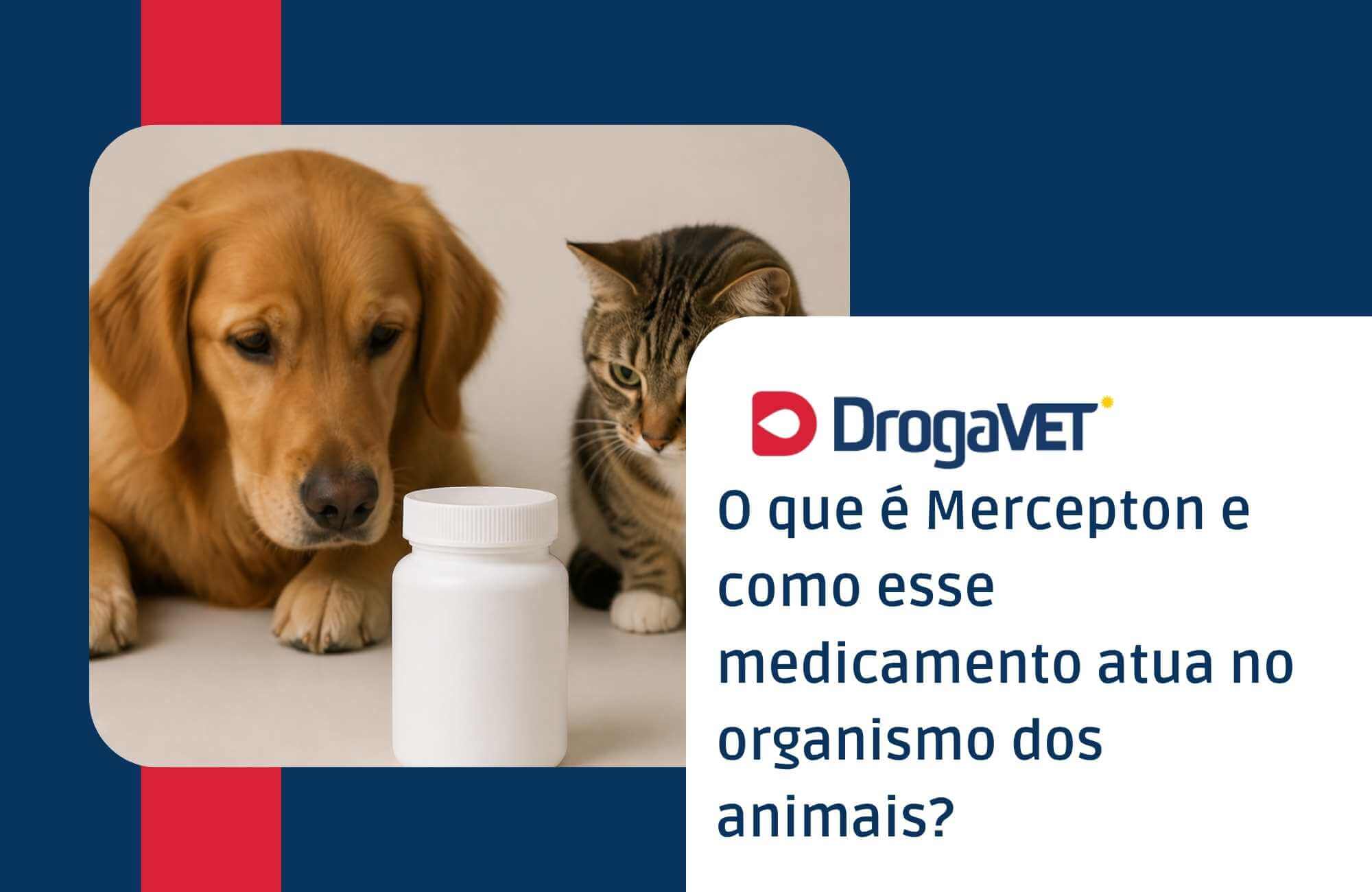 O que é uma farmácia veterinária e qual a diferença em relação às farmácias tradicionais O que é uma farmácia veterinária e qual a diferença em relação às farmácias tradicionais
