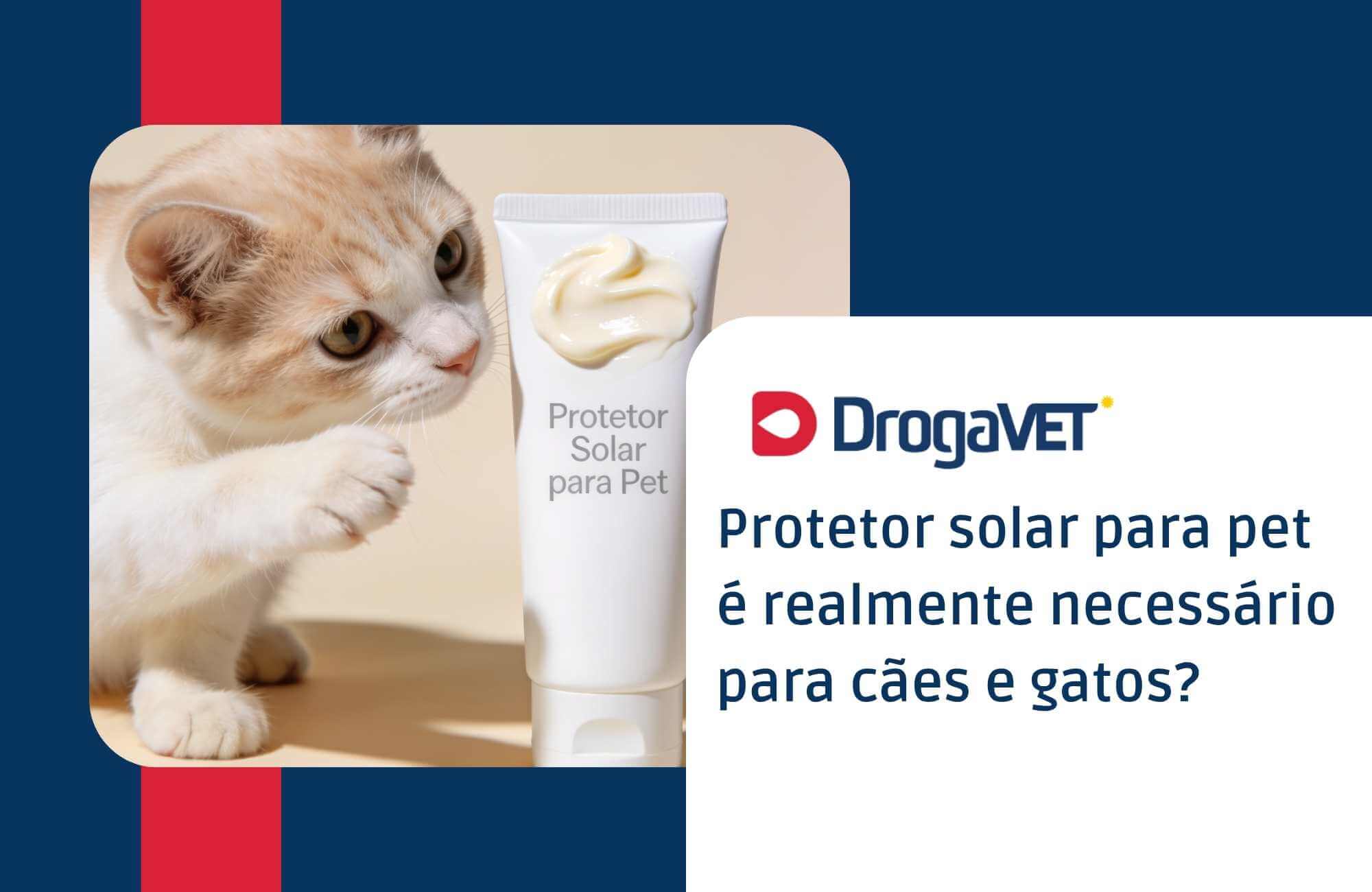 Protetor solar para pet é realmente necessário para cães e gatos 