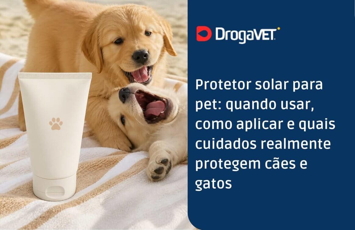 Protetor solar para pet quando usar, como aplicar e quais cuidados realmente protegem cães e gatos