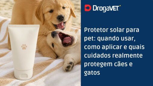 Protetor solar para pet quando usar, como aplicar e quais cuidados realmente protegem cães e gatos