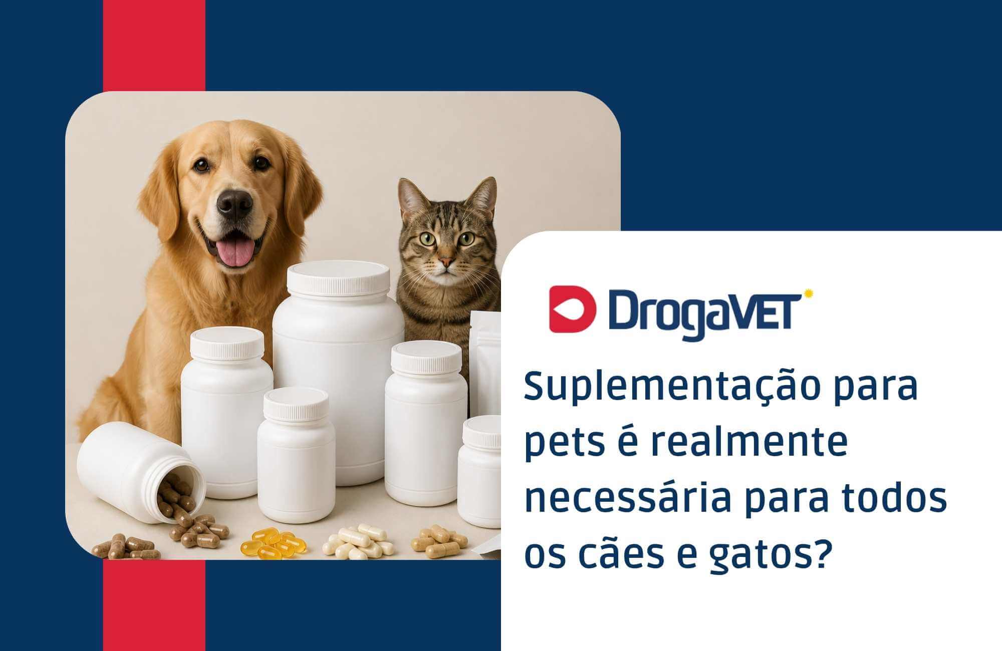 Suplementação para pets é realmente necessária para todos os cães e gatos