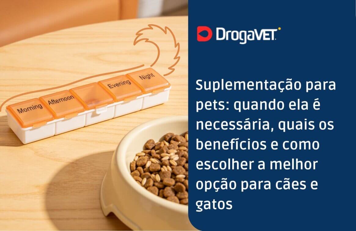 Suplementação para pets quando ela é necessária, quais os benefícios e como escolher a melhor opção para cães e gatos