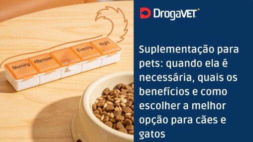 Suplementação para pets quando ela é necessária, quais os benefícios e como escolher a melhor opção para cães e gatos