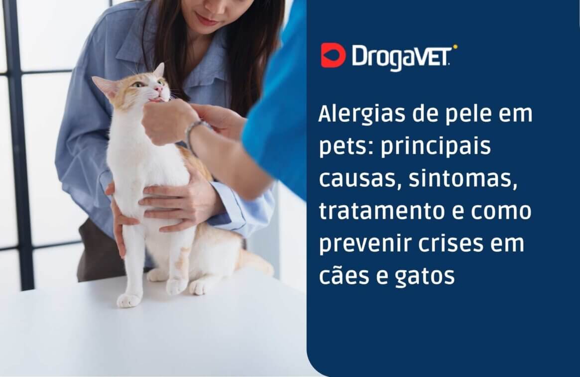 Alergias de pele em pets principais causas, sintomas, tratamento e como prevenir crises em cães e gatos