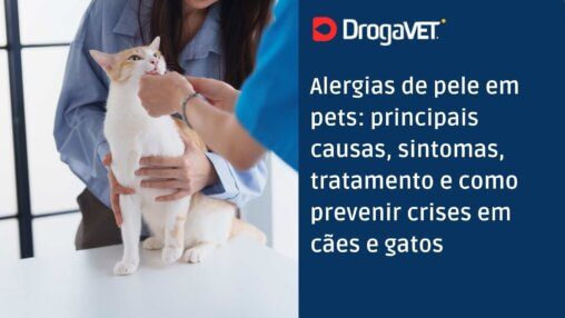 Alergias de pele em pets principais causas, sintomas, tratamento e como prevenir crises em cães e gatos