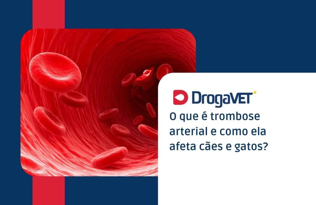 O que é trombose arterial e como ela afeta cães e gatos