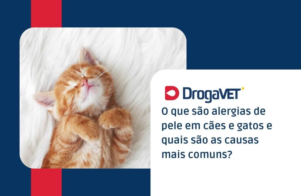 O que são alergias de pele em cães e gatos e quais são as causas mais comuns O que são alergias de pele em cães e gatos e quais são as causas mais comuns