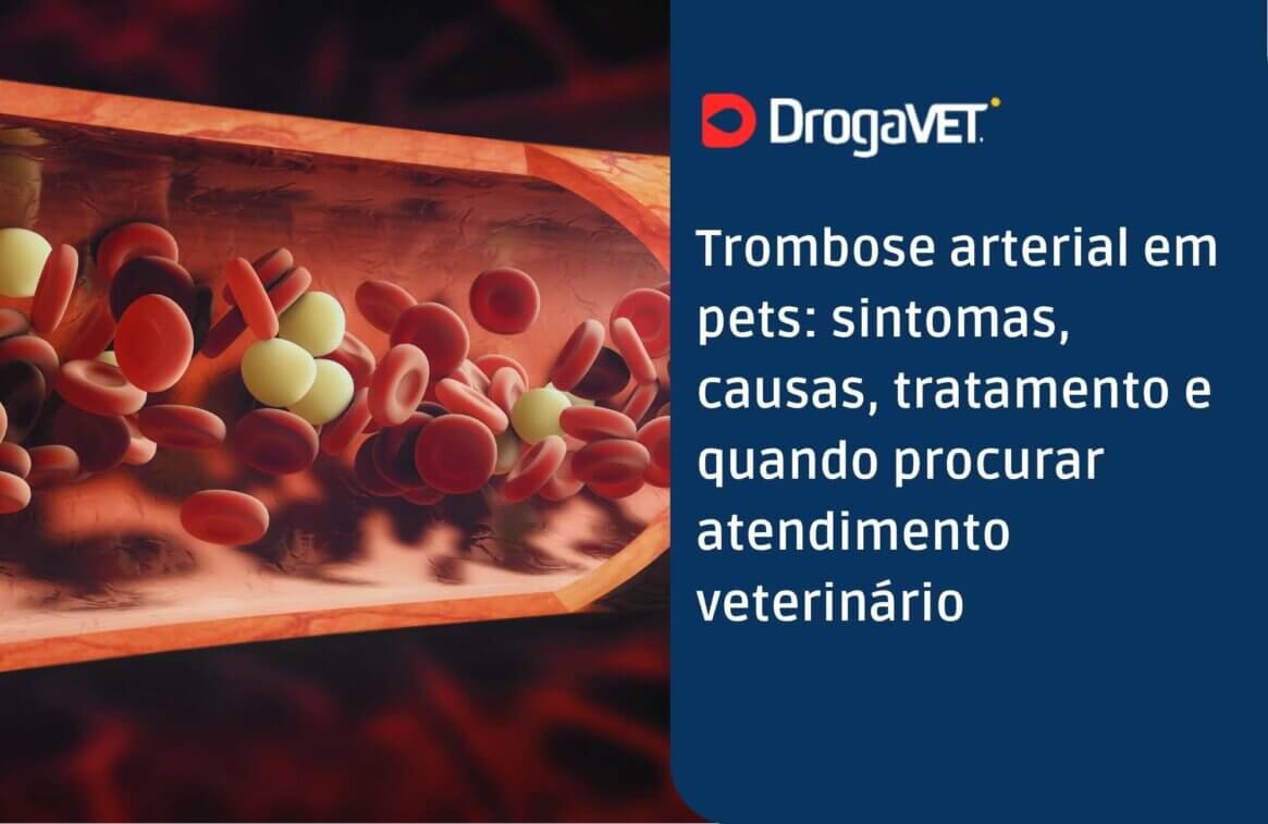 Trombose arterial em pets sintomas, causas, tratamento e quando procurar atendimento veterinário