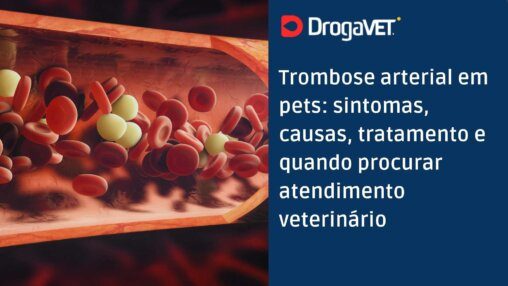 Trombose arterial em pets sintomas, causas, tratamento e quando procurar atendimento veterinário