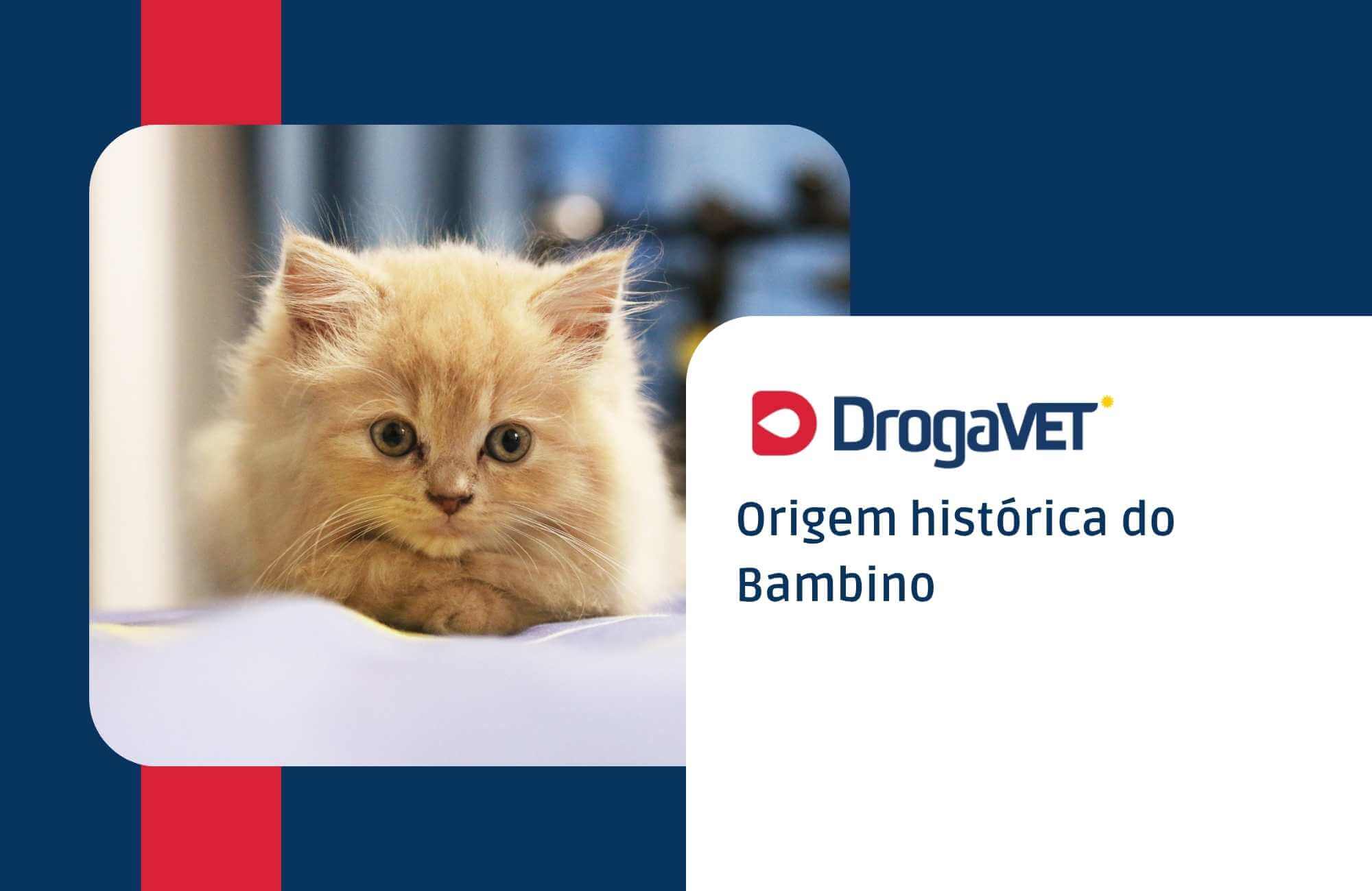 Origem histórica do Bambino Origem histórica do Bambino