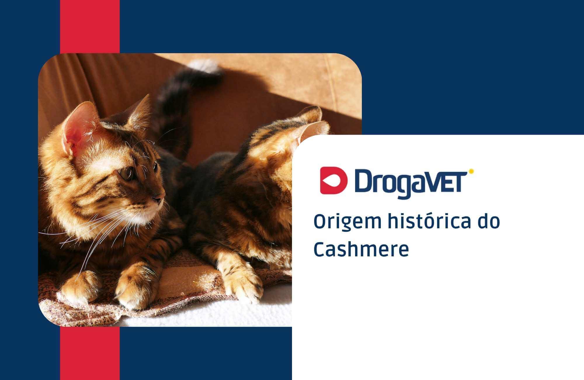 Origem histórica do Cashmere Origem histórica do Cashmere